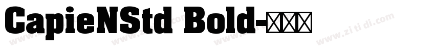CapieNStd Bold字体转换